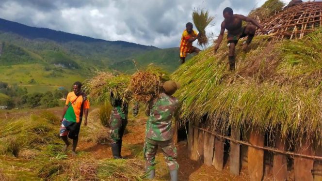 Anggota Pos Malagayneri Yonif MR 412 Kostrad membantu pembangunan Honai (Rumah adat asli Papua dari Suku Dani) milik warga Kampung Gumban Distrik Malagayneri Lanny Jaya, Senin (27/2/2022). FOTO : PENDAM XVII/CENDERAWASIH