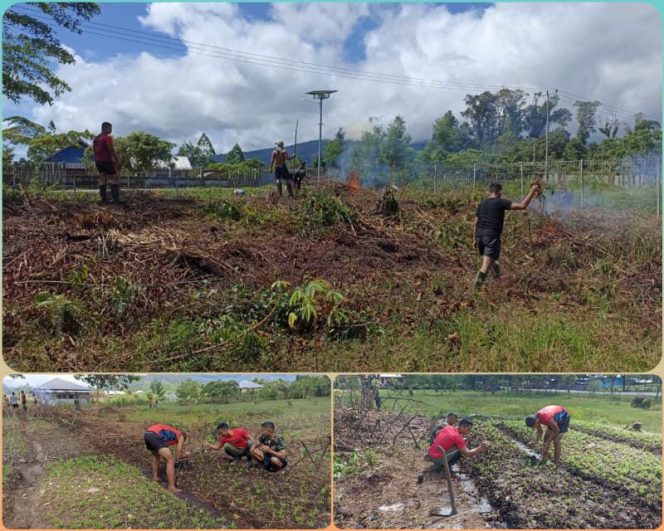 Satgas TNI Yonif 142/KJ Manfaat Lahan Tidur Untuk Bercocok Tanam/ Foto : Pensatgas Yonif R 142