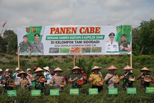 Danrem 042/Gapu Brigjen TNI Supriono, S.IP., M.M, bersama Kapolda Jambi Irjen Pol Drs. Rusdi Hartono dan unsur Forkompinda Kab. Tebo melaksanakan panen Cabai di Desa Sido Rejo  Kec. Rimbo Ilir Kab. Tebo, Prov. Jambi. (Penrem042gapu)