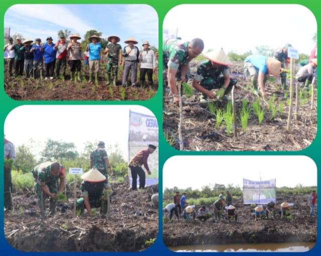 Dukung Program Ketahanan Pangan, Dandim 0419/Tanjab Bersama Forkopimda Tanjab Barat Tanam Padi Perdana Di Sungai Tiram/ FOTO : RED/IST
