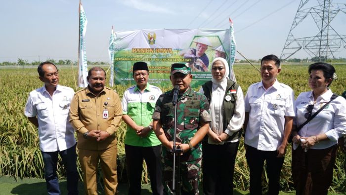 Kasad Panen Raya Padi Unggulan di Karawang/ FOTO : DISPENAD