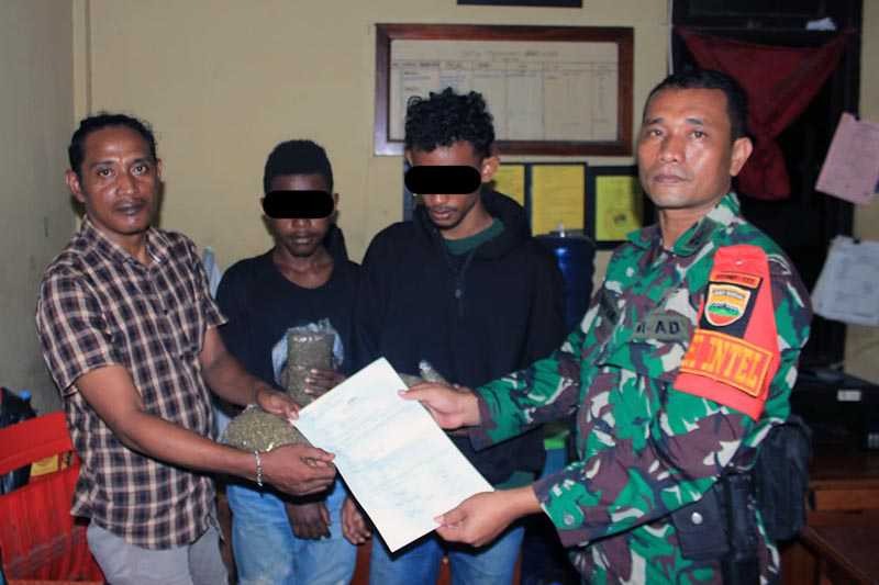 Satgas Yonif 132/BS Berhasil Amankan 500 gram Ganja Siap Edar