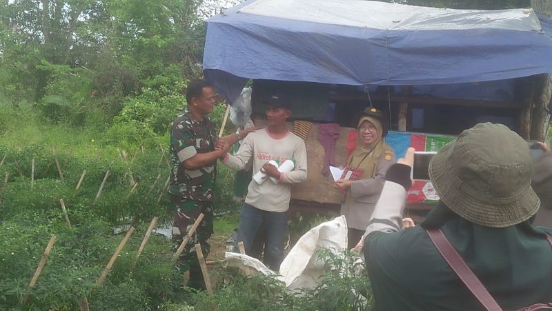 Danramil 08/Danau Teluk Kodim 0415/Jambi Kapten Inf Ibnu Hajar Cek Kesiapan Panen Raya Cabai