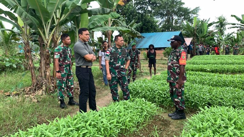 Danrem 174 Kolonel Agus Tinjau Kebun Pisang Dan Kebun sayur Binaan Babinsa Di Timika/ FOTO Istimewa