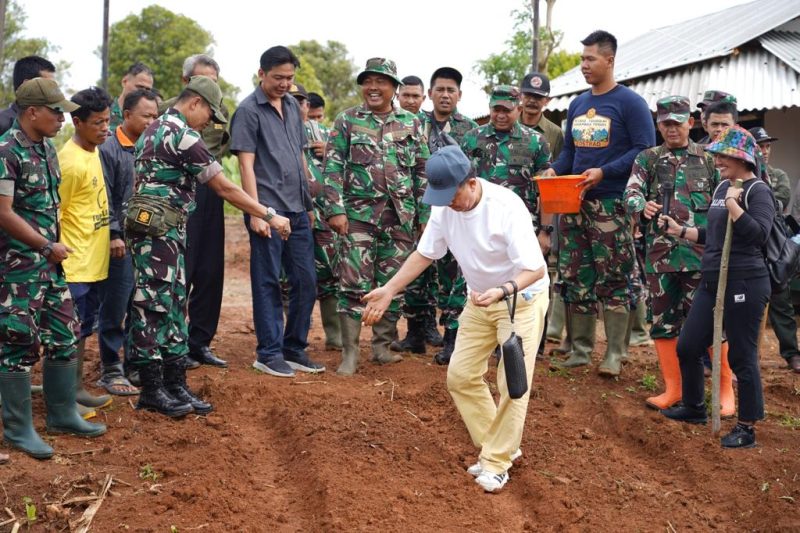 Kostrad Melaksanakan Program Teritorial Ketahanan Pangan Dalam Rangka Penguatan Binter Dengan Menanam Wijen dan Padi Japonica/ FOTO : Istimewa