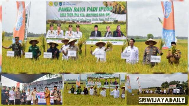 Dandim 0402/OKI Panen Raya Padi IP 100 Bersama Gubernur Sumsel. (Pendam II/Swj)
