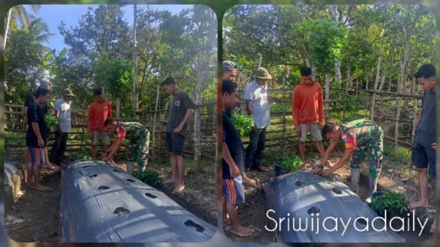 Foto. Babinsa Koramil 08/Simpang Ulim Kodim 0104/Aceh Timur Koptu M.Iqbal bersama masyarakat binaan melaksanakan penanaman cabe di Desa Matang Seupeng, Kecamatan Simpang Ulim, Kabupaten Aceh Timur, Rabu (01-03-2023)/Ist.