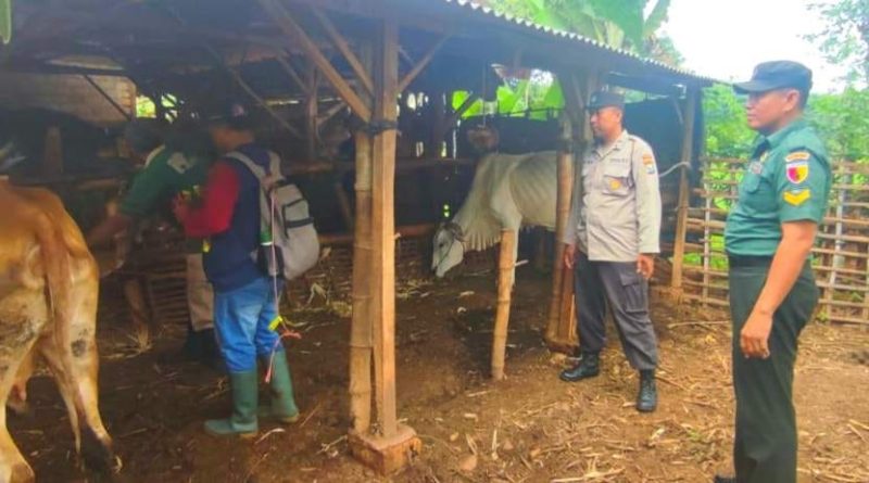 Foto. Babinsa Koramil 0811/04 Merakurak Serma Rondi ddidampingi Serka Junarto bersama tim kesehatan melaksanakan pendampingan pemberian vaksin Aftogen untuk ternak warga guna mengantisipasi penyakit PMK oleh DKP3 (Dinas Ketahanan Pangan Pertanian dan Perikanan) Bertempat di Desa binaan Desa Tuwiri Wetan dan Desa Kapu Kec. Merakurak, Kabupaten Tuban, Kamis (02/3/2023)./Ist