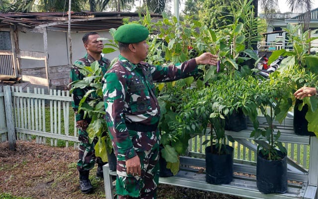 Kasdim 0415/Jambi Letkol Kav Dwi Desi Joko Wicaksono meninjau lahan ketahanan pangan milik Kodim 0415/Jambi, Senin (20/03/2023) (Foto. MCDIM0415)