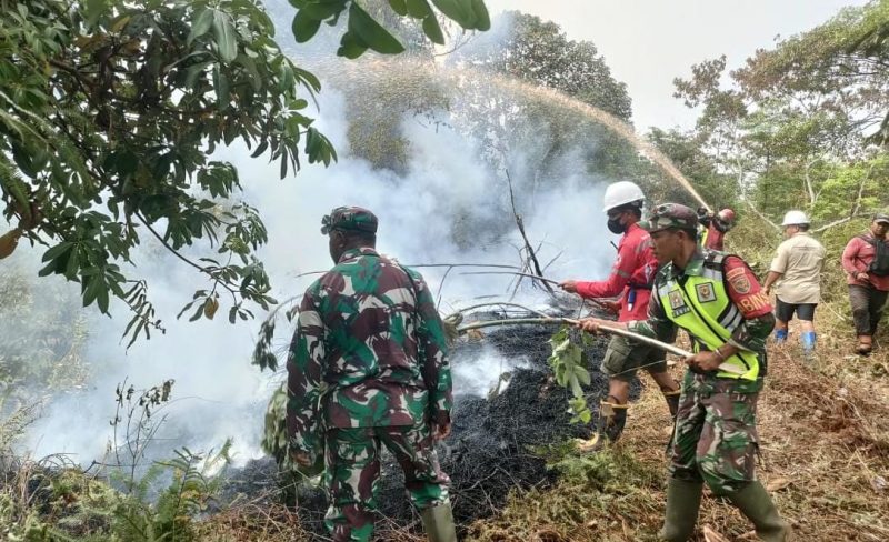 Dandim 0420/Sarko Letko Inf Amaraldo Cornelius Berjibaku Ikut Terjun Padamkan Karhutla/ RED