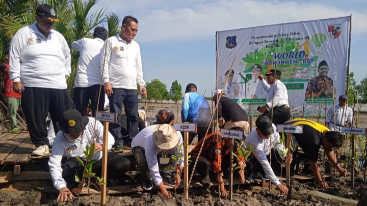 Danramil Tungkal Ilir Berharap Menanam Pohon Mangrove Dapat Melindungi Lingkungan Hidup Berbagai Habitat di Pesisir Pantai/tjb