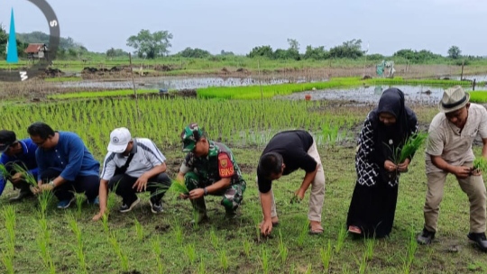 Babinsa Kodim 0415/Jambi Dampingi Tim BSIP Meninjau Optimasi Lahan Pertanian di Desa Talang Duku
