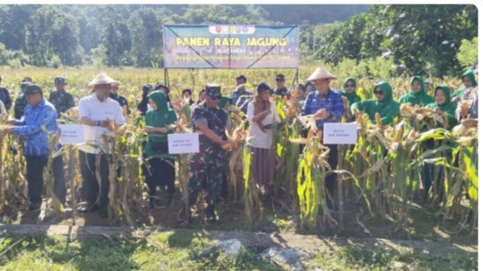 Sukseskan Program Ketahanan Pangan, Dandim 1421/Pangkep Gelar Panen Raya Jagung
